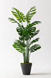 Yapay Deve Tabanı(Monstera)130 Cm