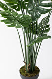 Yapay DeveTabanı(Monstera) Ağacı 200 Cm