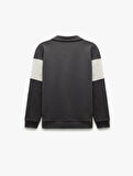 Pamuklu Renk Bloklu Uzun Kollu Yarım Fermuarlı Sweatshirt