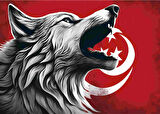 ASİL KURT 7 70X50CM KARTON ÇERÇEVESİZ TABLO