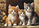 SEVİMLİ KEDİ CAT10 70X50CM KARTON ÇERÇEVESİZ TABLO