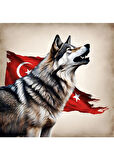 ASİL KURT 34 50X50CM PVC ÇERÇEVESİZ TABLO