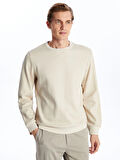 LCWAIKIKI Classic Bej Bisiklet Yaka Uzun Kollu Erkek Sweatshirt