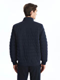 LCW Vision Lacivert Slim Fit Dik Yaka Erkek Mont