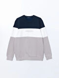 LCWAIKIKI Classic Bej Bisiklet Yaka Uzun Kollu Renk Bloklu Erkek Sweatshirt