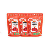 Pol's Çilek Paketi 3'lü Freeze Fresh Çilek 15x3 gr