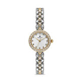 MOMENTUS SS274T-09SG KADIN KOL SAATİ