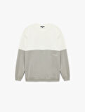 Oversize Uzun Kollu Renk Bloklu Baskı Detaylı Bisiklet Yaka Sweatshirt