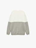 Oversize Uzun Kollu Renk Bloklu Baskı Detaylı Bisiklet Yaka Sweatshirt
