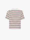 Çizgili Düğmeli Polo Yaka Kısa Kollu Triko Bluz