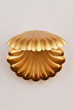Mucit Home Brano 6 Lı Kahve Yanı Istiridye Lokumluk Gold