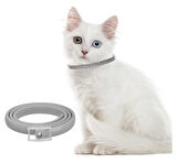 Mucit Home Kedi Pire ve Bit Kovucu Engelleyeci Tasma Boyunluk 38 cm