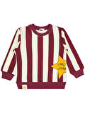 Civil Boys Çizgili Yıldız Baskılı 2-5 Yaş Sweatshirt - Bordo5-6 Yaş