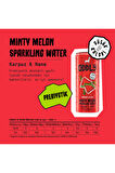 MINTY MELON KARPUZ NANE KUTU 250 ML X 8 ADET