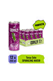 PICKLE SPLASH TURŞU SUYU KUTU 250 ML X 12 ADET