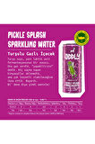PICKLE SPLASH TURŞU SUYU KUTU 250 ML X 12 ADET