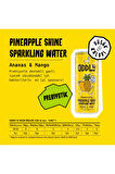 PINEAPPLE SHINE ANANAS MANGO KUTU 250 ML X 12 ADET