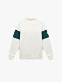 Regular Fit Renk Bloklu Baskılı Şardonlu Yarım Fermuarlı Polo Yaka Sweatshirt
