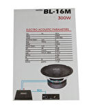 16cm Mıdrange Hoparlör Beltec Audio 300W BL-16M