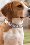 Köpekler İçin Dayanıklı Ve Güvenli, Desenli Boyun Tasması ( 25mm )