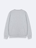 Gri Sweatshırt
