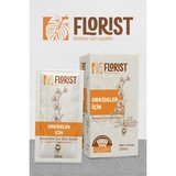 Florist Konsantre Orkide Besini