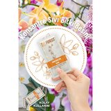 Florist Konsantre Orkide Besini
