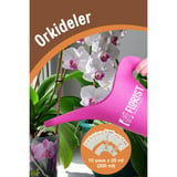Florist Konsantre Orkide Besini