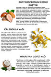 COLORİDO BÁLSAMO ORO ROSADO NEMLENDİRİCİ ANTİOKSİDAN IŞILTI VEREN E-VİTAMİN KREM BALM(RUJ,FAR,ALLIK)