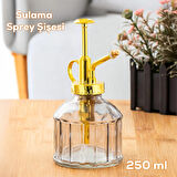 Perotti 15733 Gri Vintage Cam Bitki Sulama Şişesi Oda Kokusu Dağıtıcı Cam Dağıtıcı Sprey 250ml