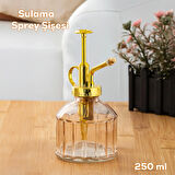 Perotti 15733 Pembe Vintage Cam Bitki Sulama Şişesi Oda Kokusu Dağıtıcı Cam Dağıtıcı Sprey 250ml