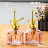 Perotti 15733 2'li Mor Vintage Cam Bitki Sulama Şişesi Oda Kokusu Dağıtıcı Cam Dağıtıcı Sprey 250ml