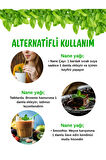 %100 SAF NANE UÇUCU YAĞI 20ML - AROMATERAPİ VE CİLT BAKIMI İÇİN 20ML(PEPPERMINT OIL)