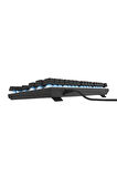 Hawk Gaming HK410M Mekanik Mavi Switch 19 Mod RGB Kablolu Siyah TKL Türkçe Gaming Klavye