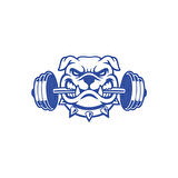 Bulldog Araba Sticker 17x17 Cm Mavi