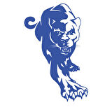 Panter Araba Sticker 17x17 Cm Mavi