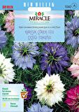 Miracle Karışık Renkli Çörek Otu Çiçeği Tohumu (100 tohum)