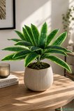 Yapay Çiçek Sitesi Yapay Cordyline Yaprağı Dalı 18 Yaprak 46cm Yeşil-Sarı 