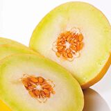 Ananas Kokulu  Kavun Fidesi (5 adet)