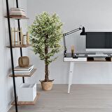 Yapay Ağaç Benjamin Yeşilbeyaz 2 Gövdeli Çalılı 165*80cm Siyah Plastik Saksılı