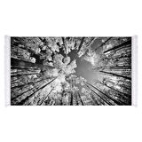 Dekoreko İpek Halı Dijital Saçaklı 1902 Desen 1