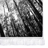 Dekoreko İpek Halı Dijital Saçaklı 1902 Desen 1