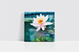 Beyaz Nilüfer Kanvas Tablo