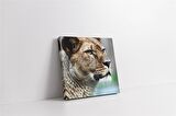 Yakın Çekim Aslan Kanvas Tablo