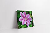 Mor Çiçek Kanvas Tablo