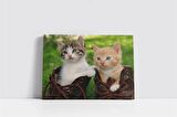 Kedi Yavrusu Kanvas Tablo