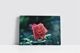 Pembe Gül Kanvas Tablo