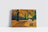 Sonbahar Yaprakları ve Park Kanvas Tablo