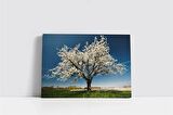 Beyaz Gelincikli Ağaç Kanvas Tablo