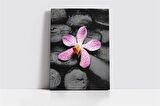 Spa Taşları ve Orkide Kanvas Tablo